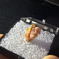 #15 Lustrous Vanadinite Crystals - Mibladen District, Midelt Province, Morocco