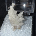 White Druzy Coral Branch