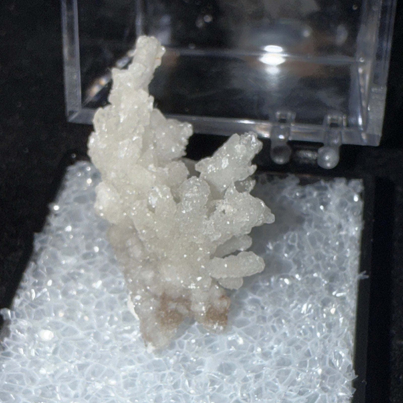 White Druzy Coral Branch