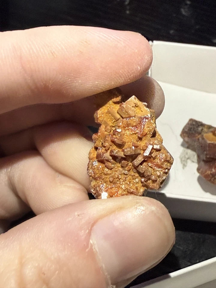 5 Piece Vanadinite Lot From Morocco
