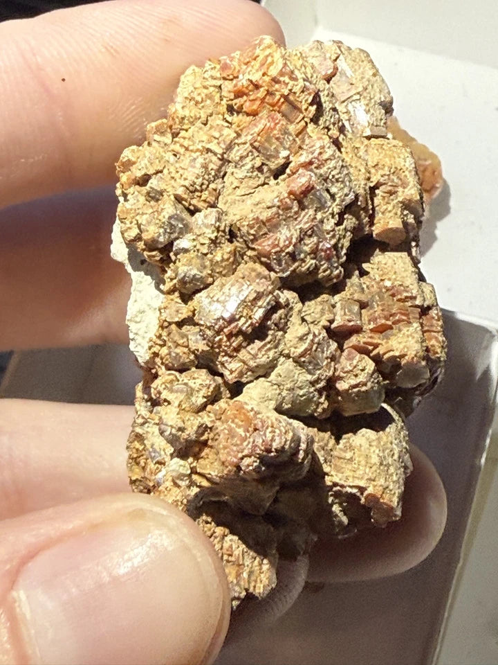 5 Piece Vanadinite Lot From Morocco