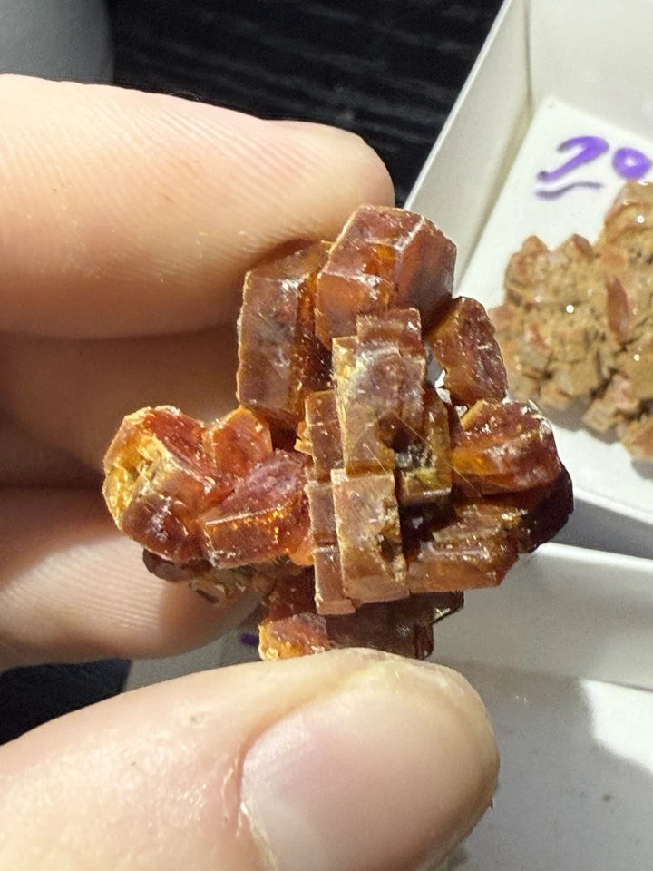 5 Piece Vanadinite Lot From Morocco