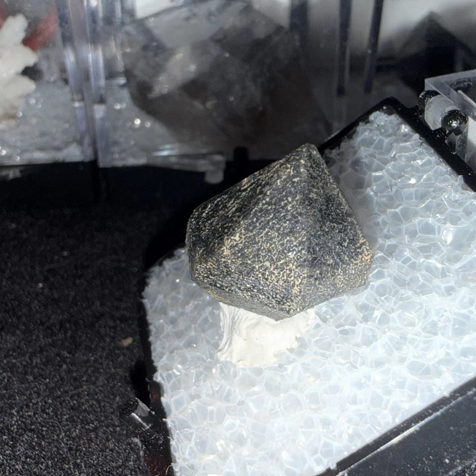 Black Quartz Monte Rosso Italy