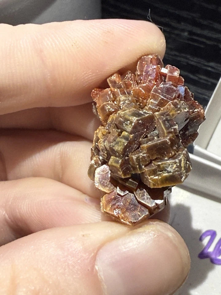 5 Piece Vanadinite Lot From Morocco