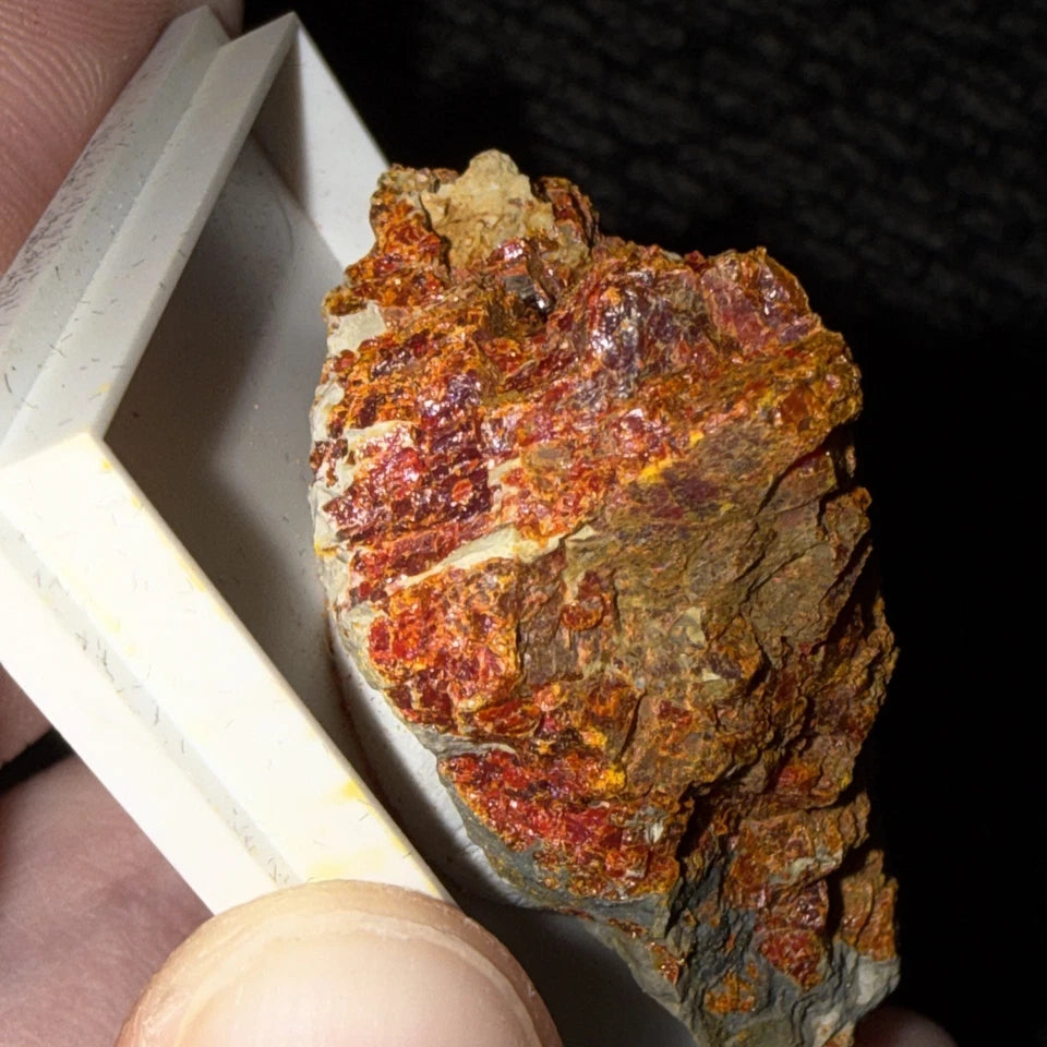 Crocoite Natural Crystal Cluster, Tasmania, Australia