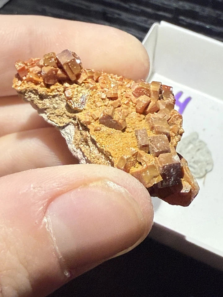 5 Piece Vanadinite Lot From Morocco
