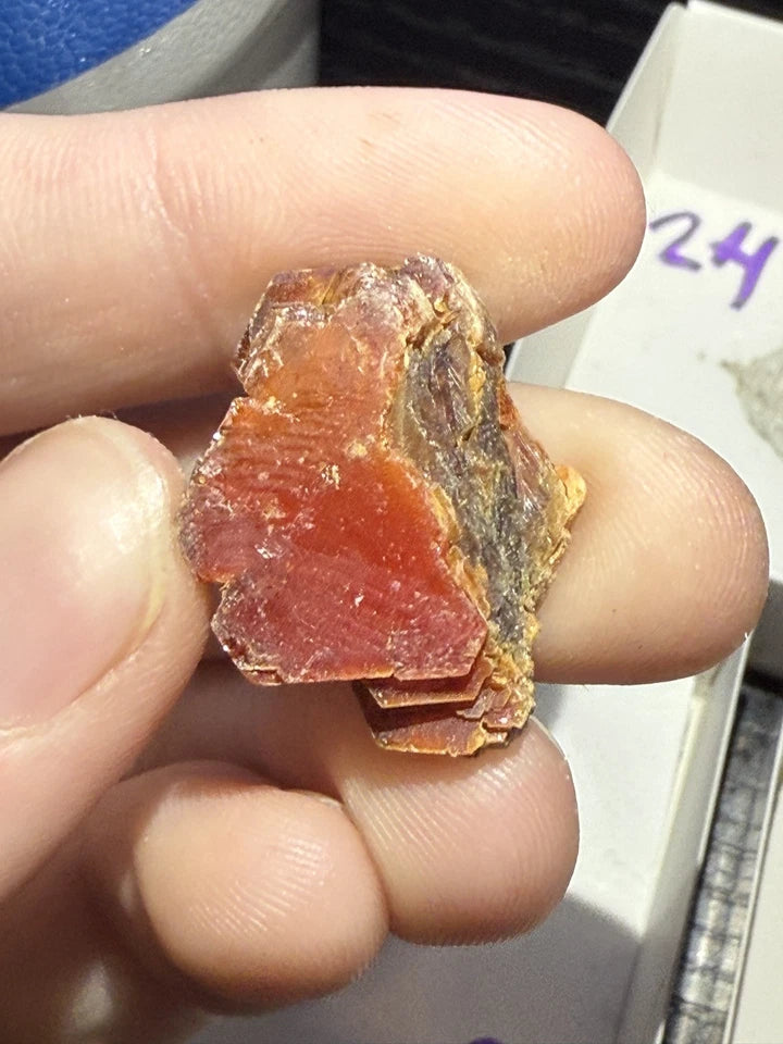 5 Piece Vanadinite Lot From Morocco