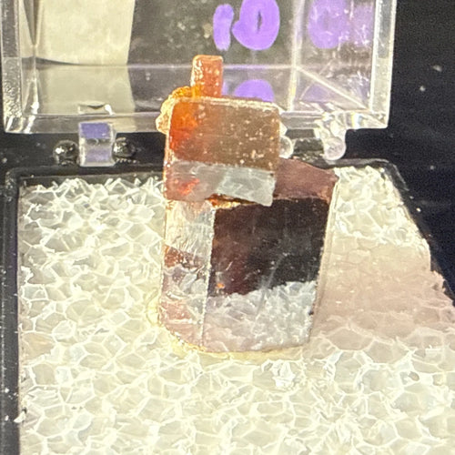 #10 Lustrous Vanadinite Crystals - Mibladen District, Midelt Province, Morocco