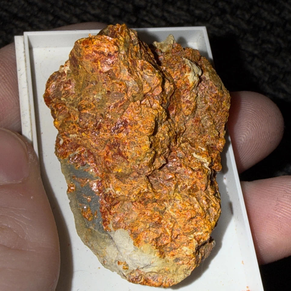 Crocoite Natural Crystal Cluster, Tasmania, Australia