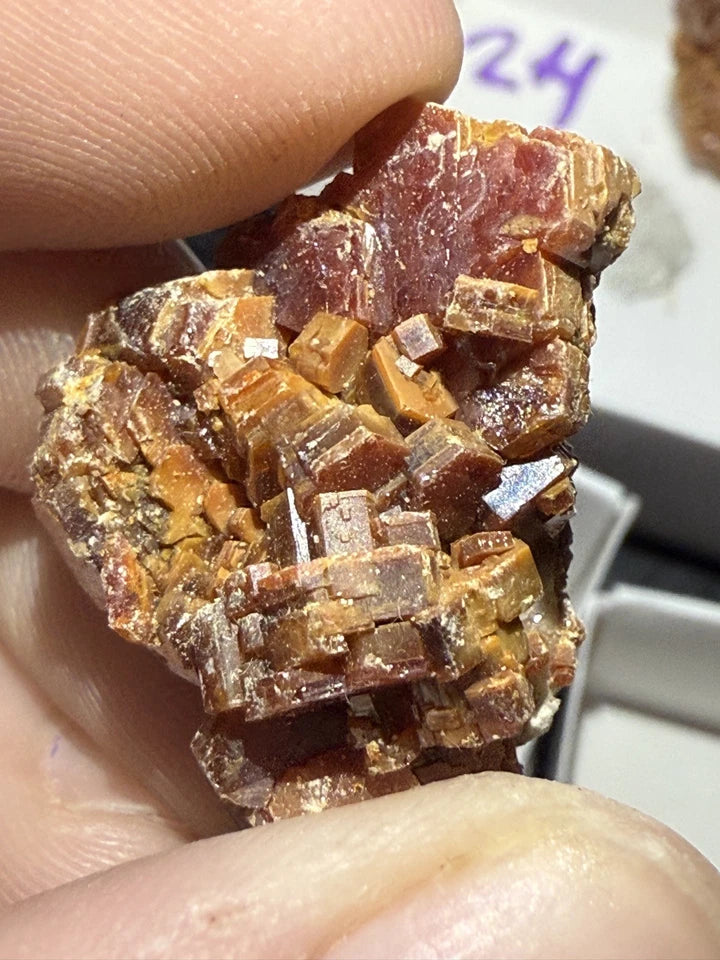 5 Piece Vanadinite Lot From Morocco