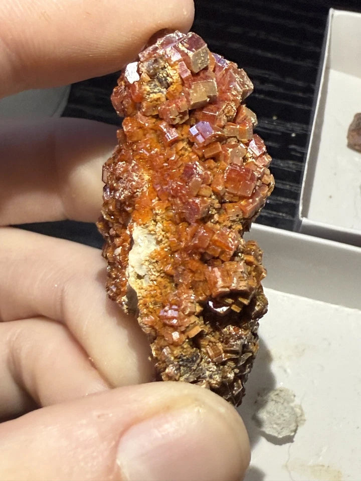 5 Piece Vanadinite Lot From Morocco
