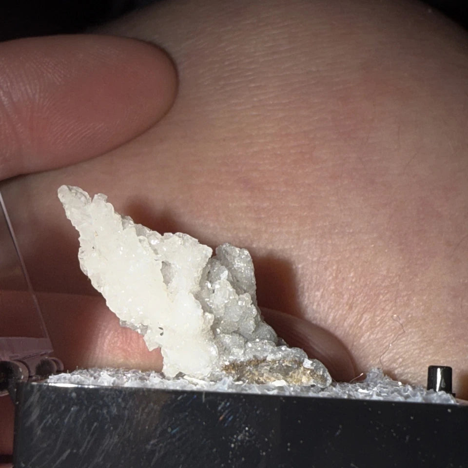 White Druzy Coral Branch