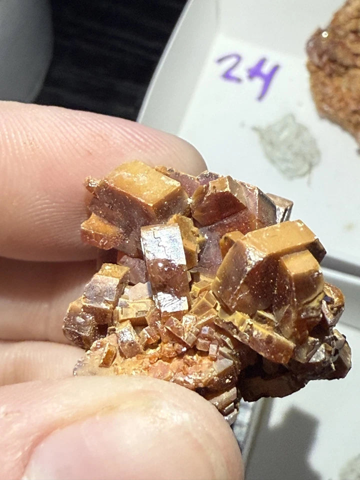 5 Piece Vanadinite Lot From Morocco