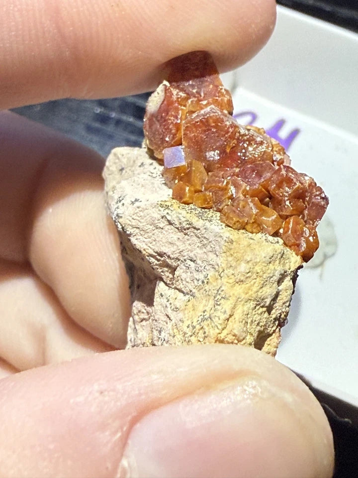 5 Piece Vanadinite Lot From Morocco