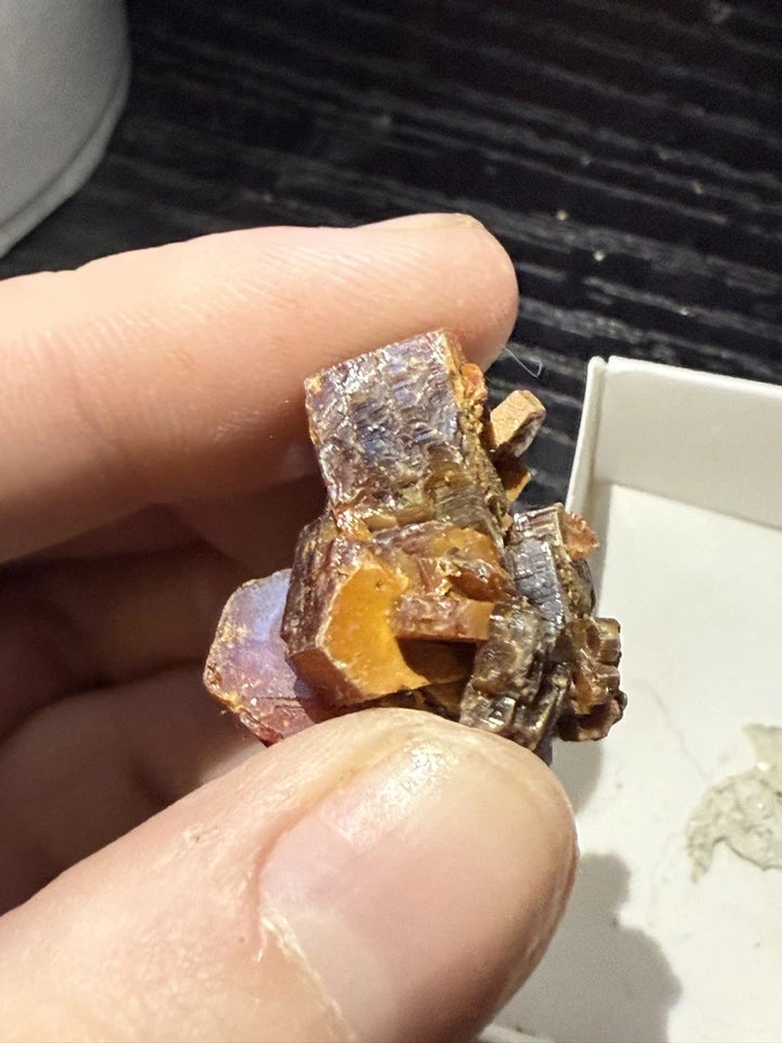 5 Piece Vanadinite Lot From Morocco