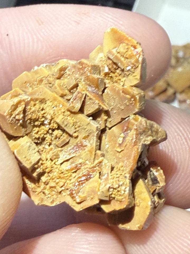 5 Piece Vanadinite Lot From Morocco