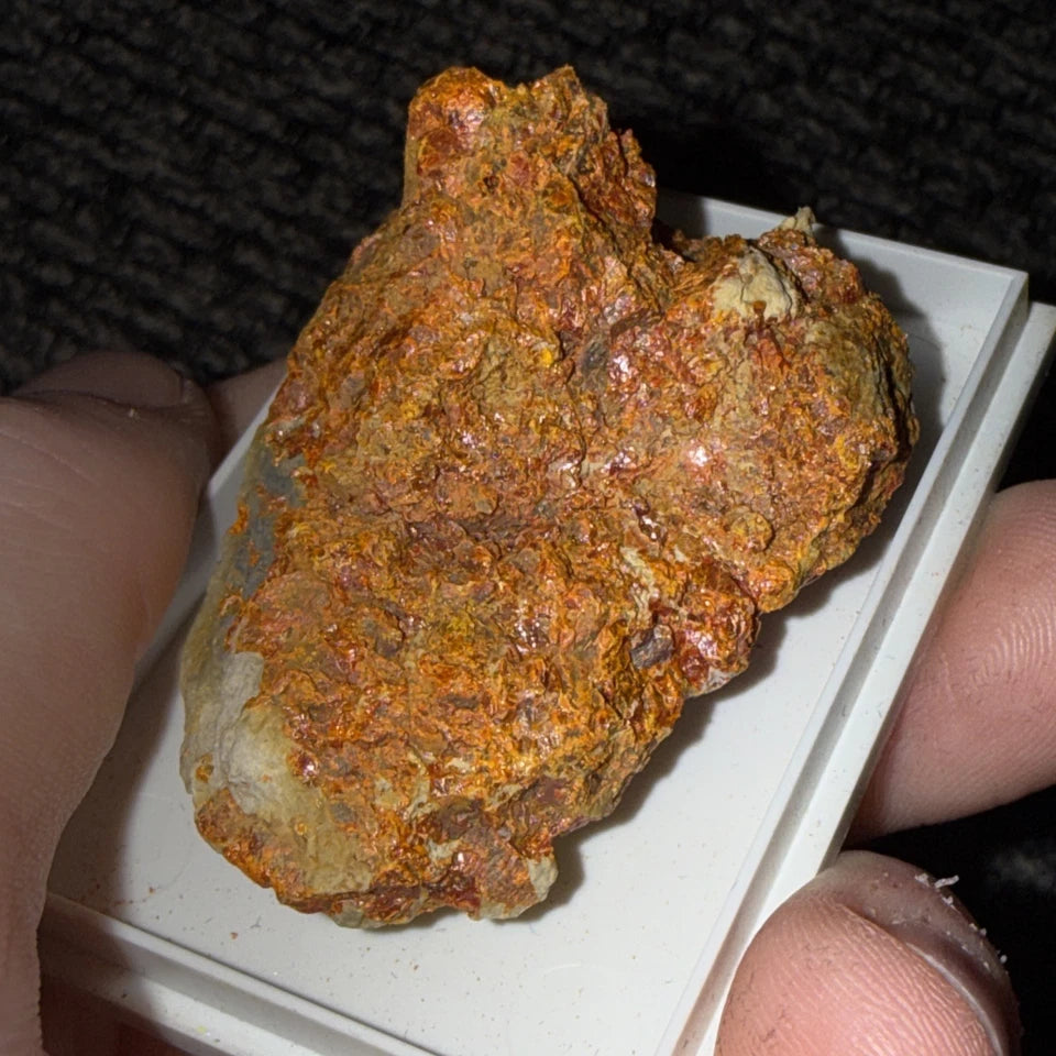 Crocoite Natural Crystal Cluster, Tasmania, Australia