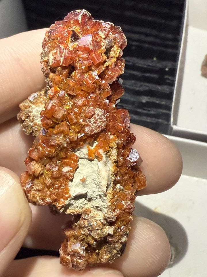 5 Piece Vanadinite Lot From Morocco