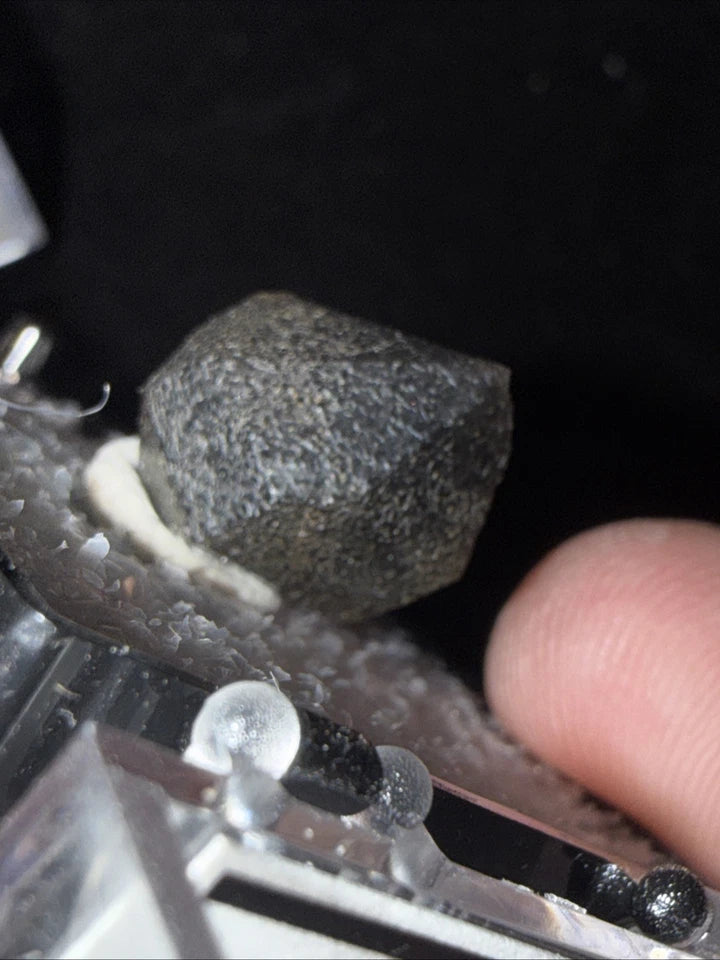 Black Quartz Monte Rosso Italy