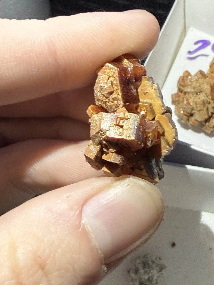 5 Piece Vanadinite Lot From Morocco