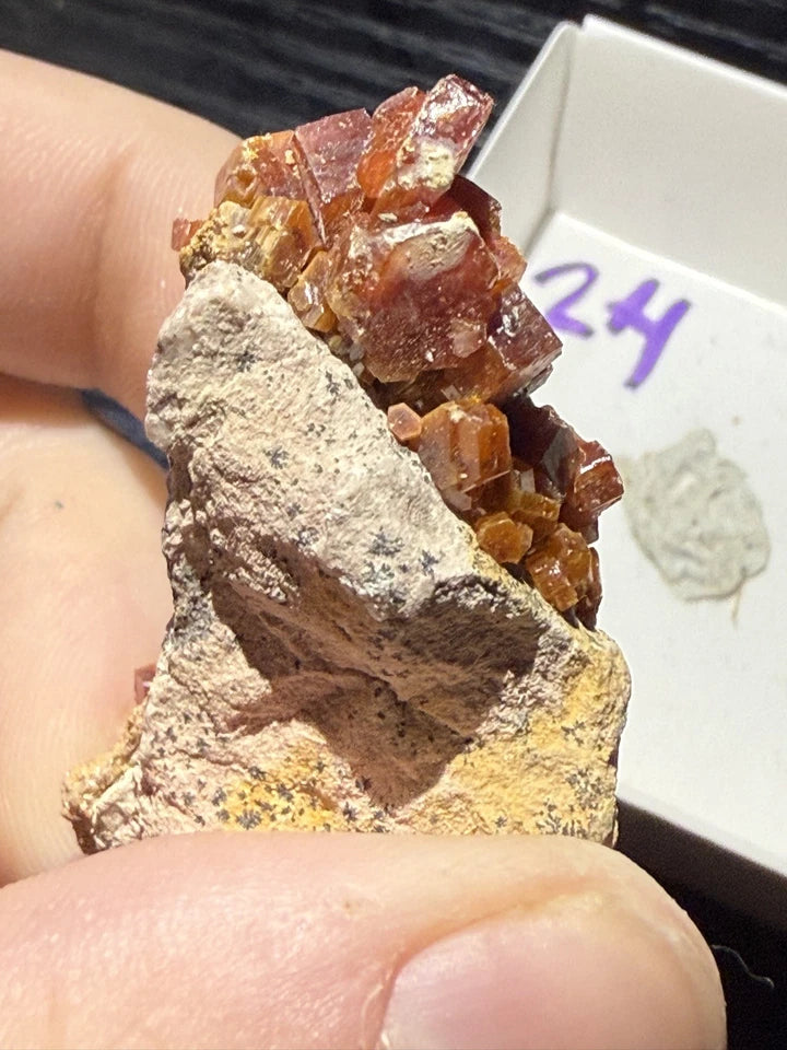 5 Piece Vanadinite Lot From Morocco