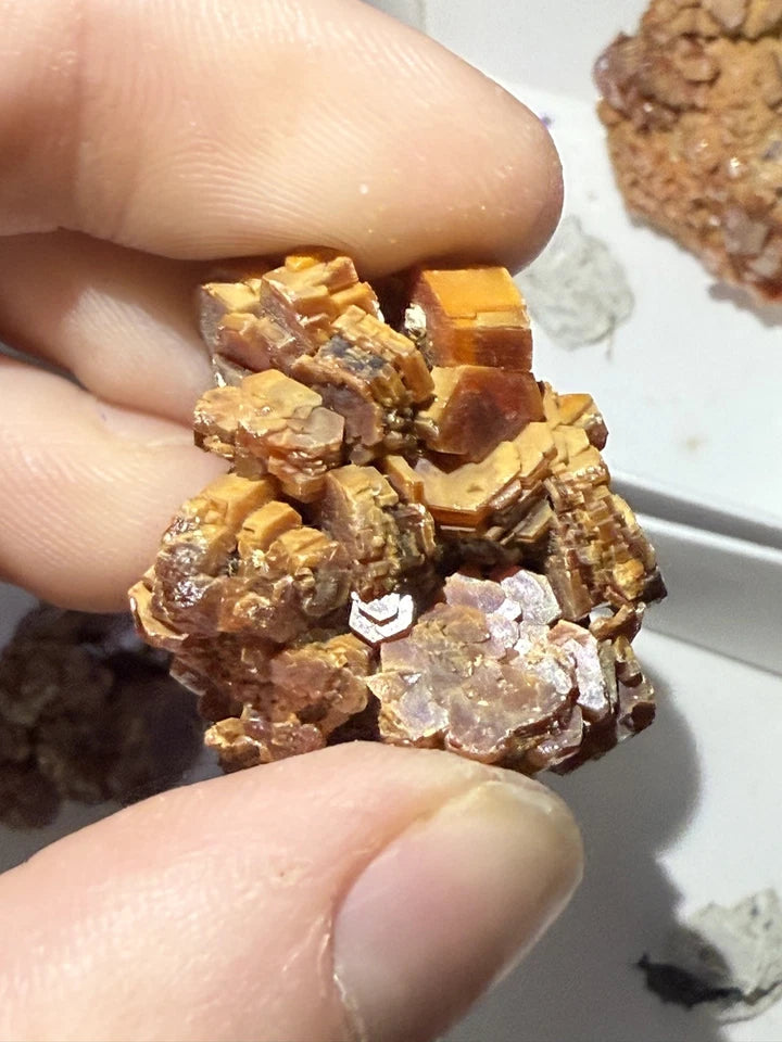 5 Piece Vanadinite Lot From Morocco