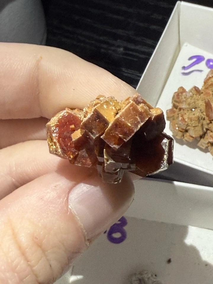 5 Piece Vanadinite Lot From Morocco