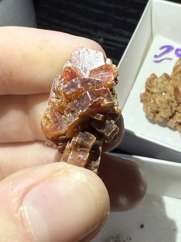 5 Piece Vanadinite Lot From Morocco