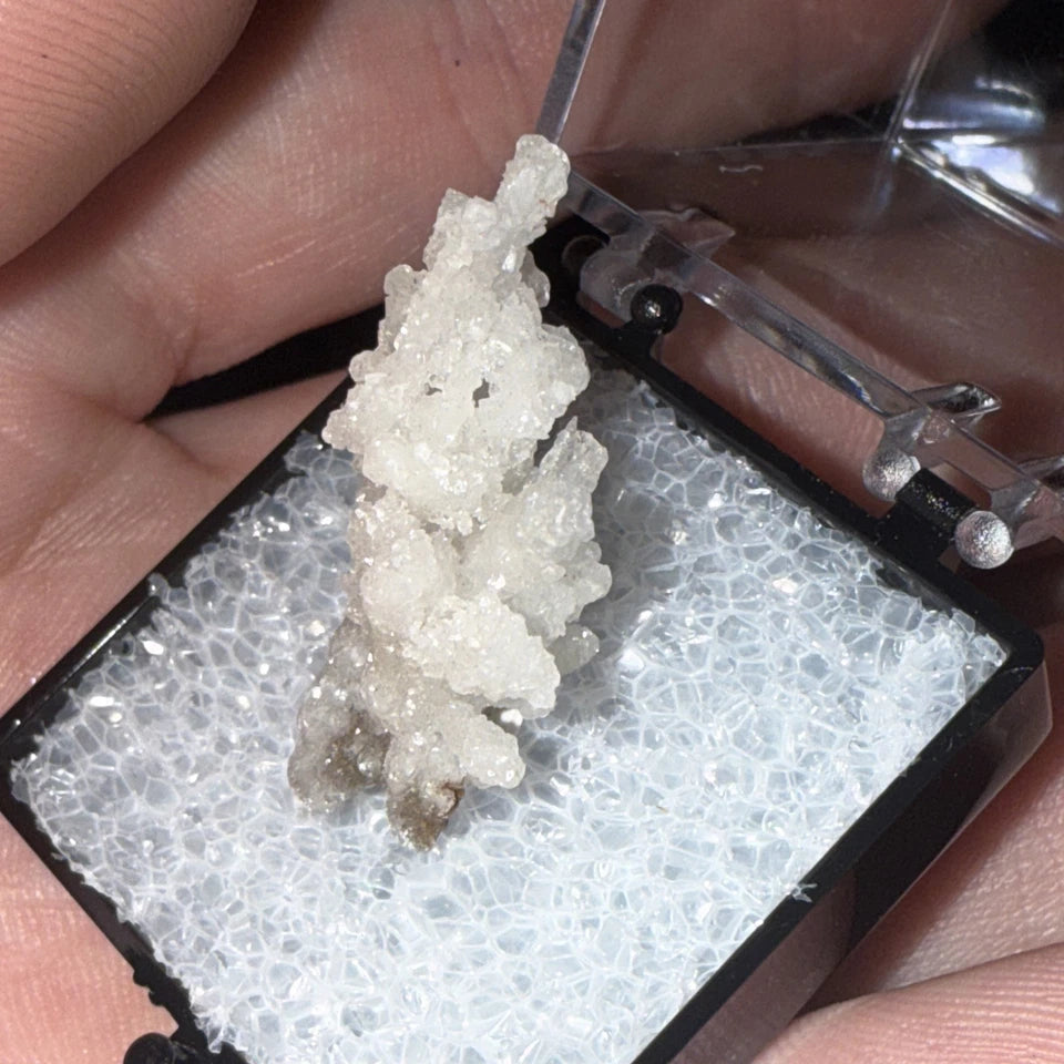 White Druzy Coral Branch