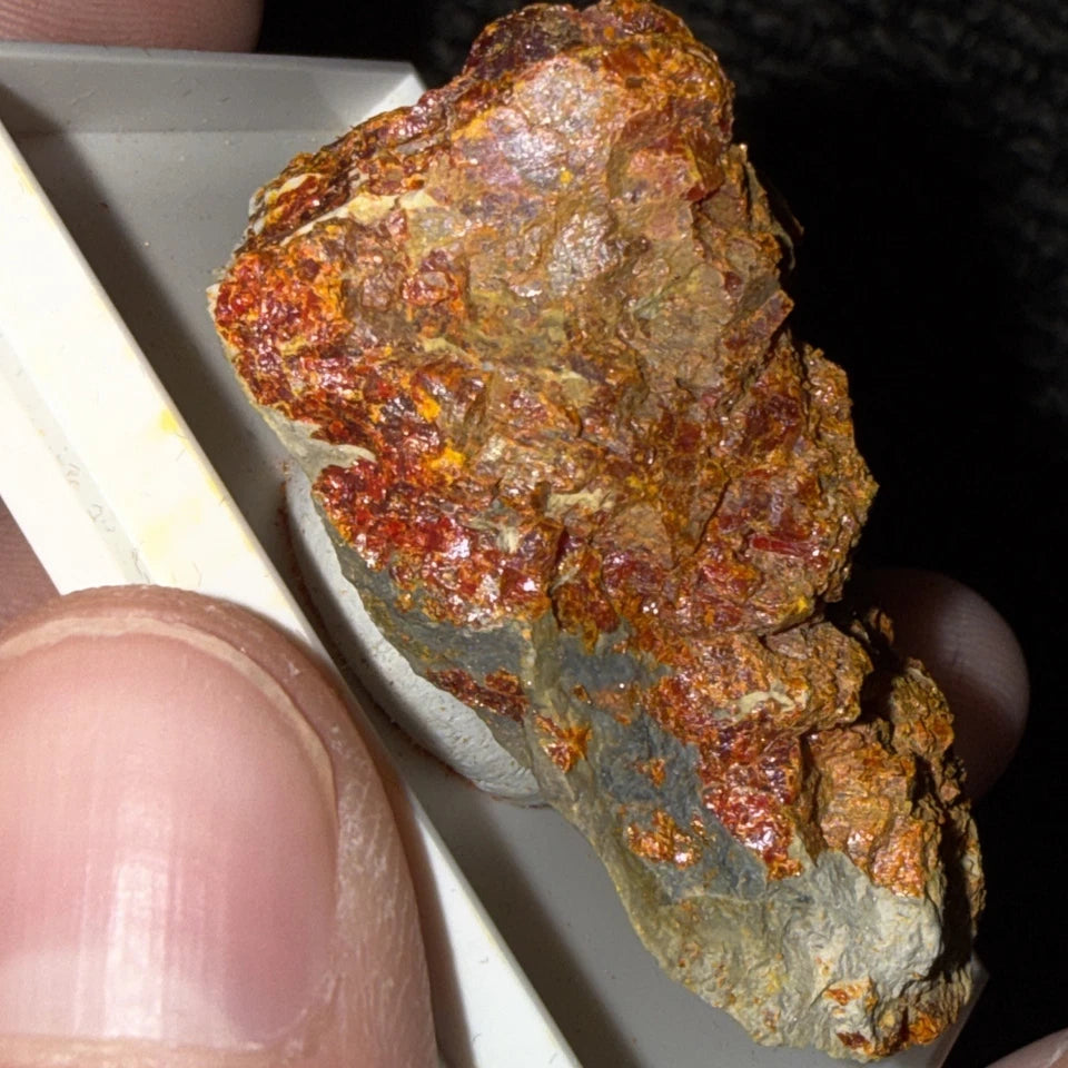 Crocoite Natural Crystal Cluster, Tasmania, Australia