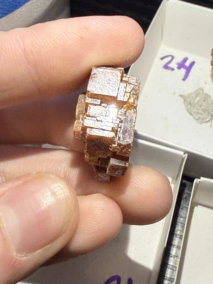 5 Piece Vanadinite Lot From Morocco