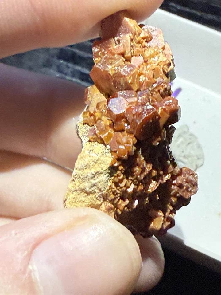 5 Piece Vanadinite Lot From Morocco