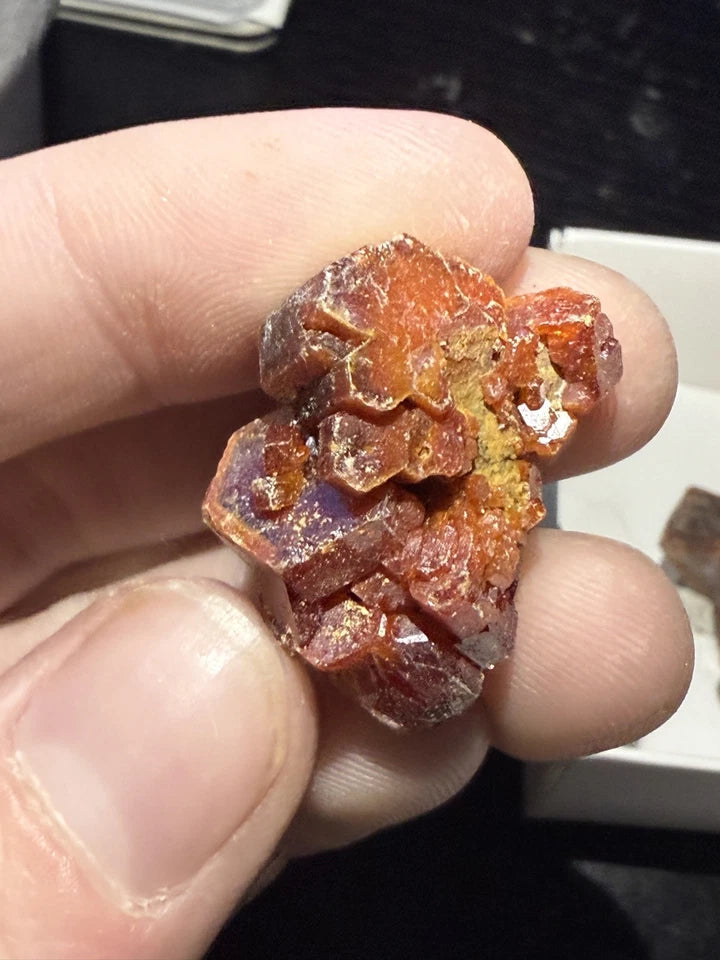 5 Piece Vanadinite Lot From Morocco