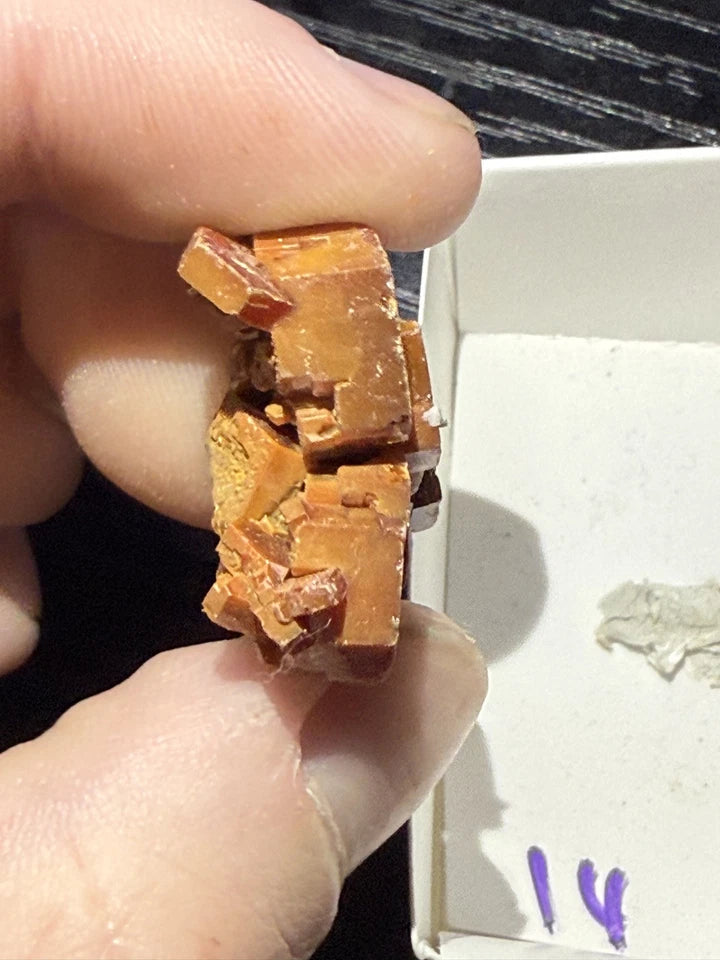 5 Piece Vanadinite Lot From Morocco