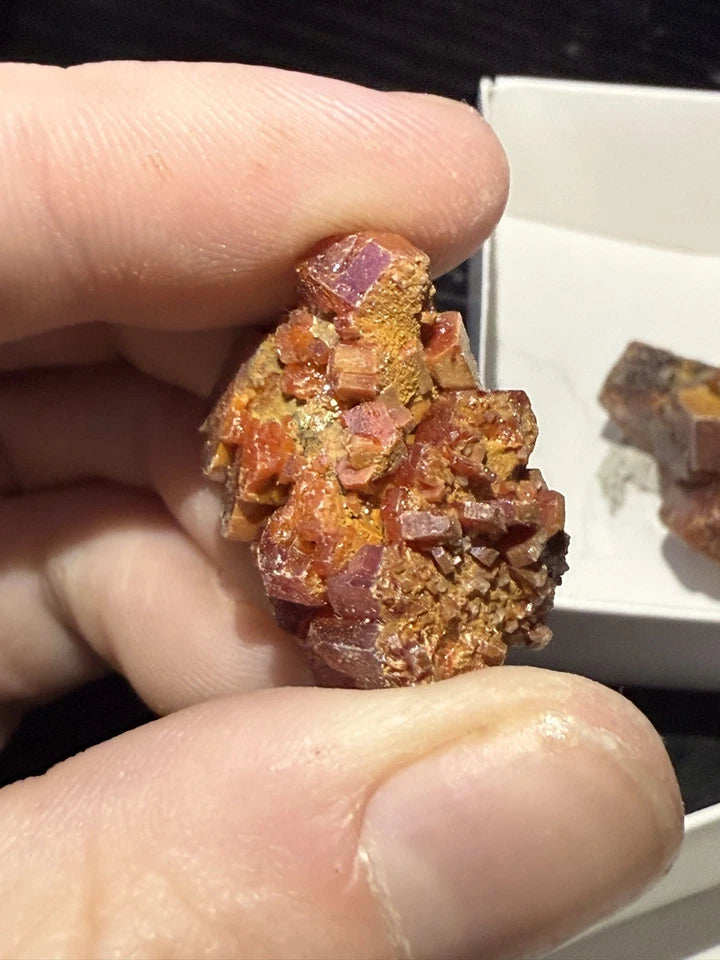 5 Piece Vanadinite Lot From Morocco